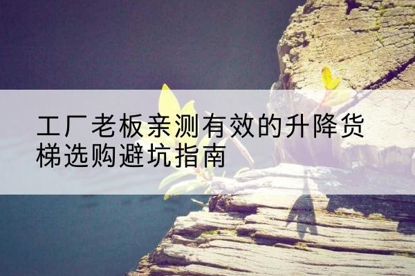 大观升降货梯怎么选-工厂老板亲测有效的升降货梯选购避坑指南