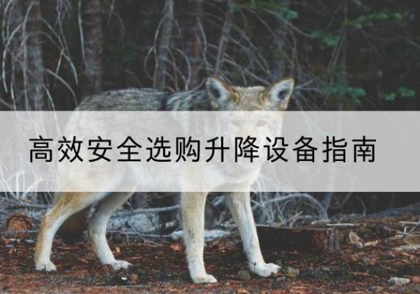 大观升降货梯厂家推荐-*安全选购升降设备指南