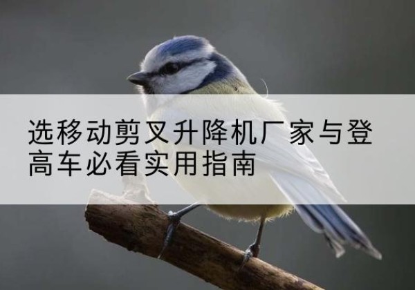 大观电动升降机厂家-选移动剪叉升降机厂家与登高车必看实用指南