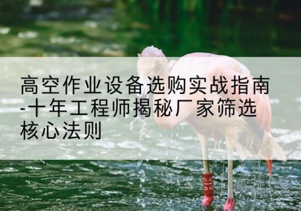 大观剪叉式升降机厂家-高空作业设备选购实战指南-十年工程师揭秘厂家筛选核心法则